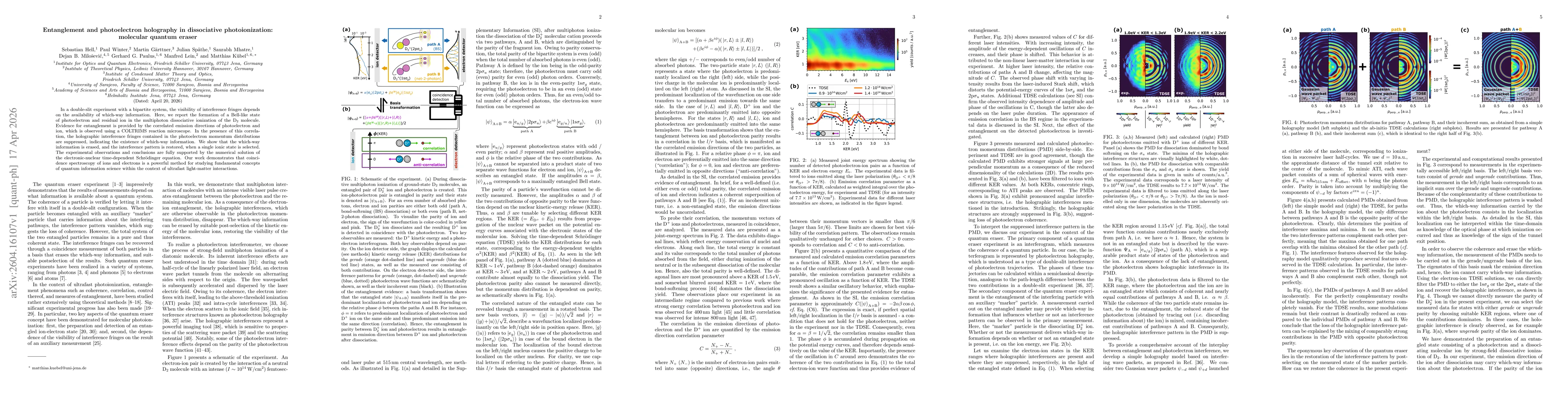 Thumbnail for Entanglement and photoelectron holography in dissociative photoionization: molecular quantum eraser