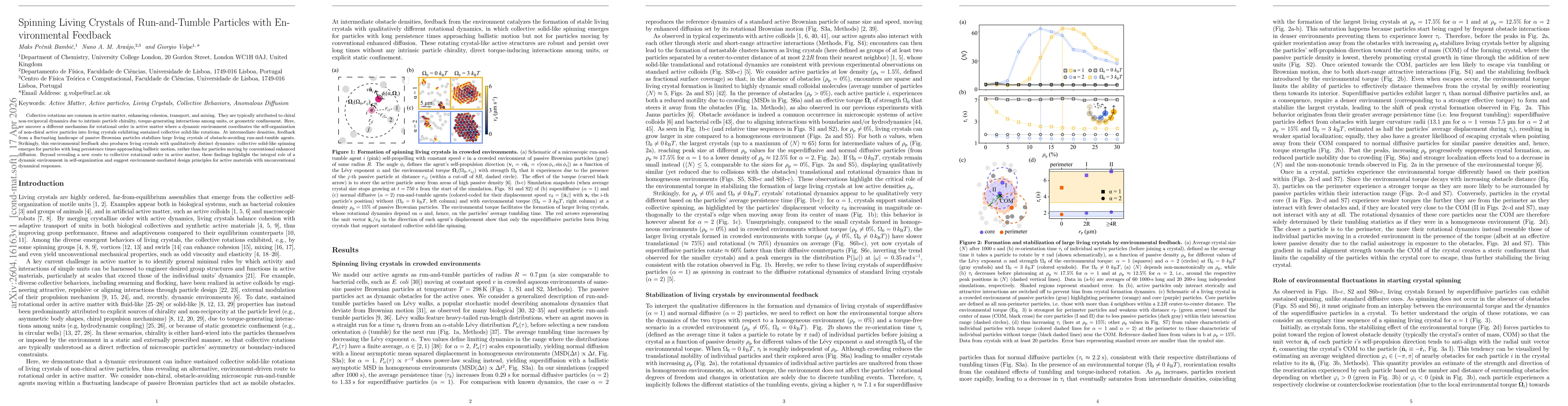 Thumbnail for Spinning Living Crystals of Run-and-Tumble Particles with Environmental Feedback