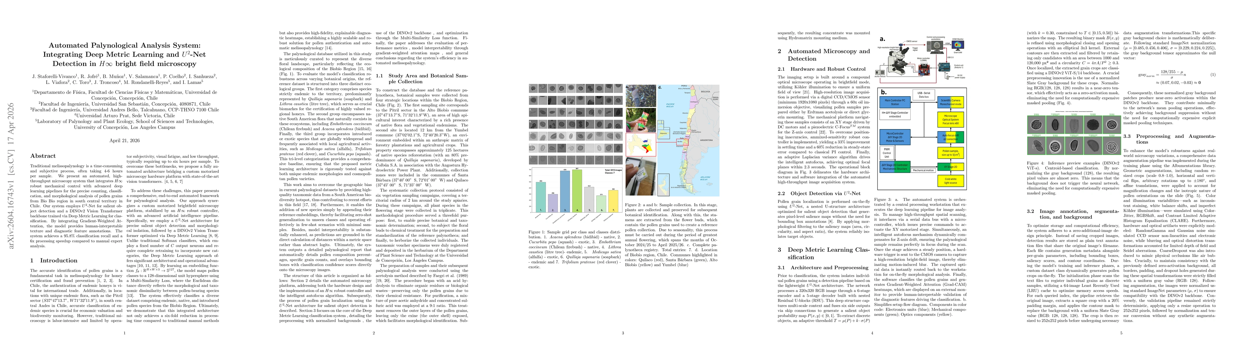 Thumbnail for Automated Palynological Analysis System: Integrating Deep Metric Learning and $U^{2}$-Net Detection in $H\infty$ bright field microscopy