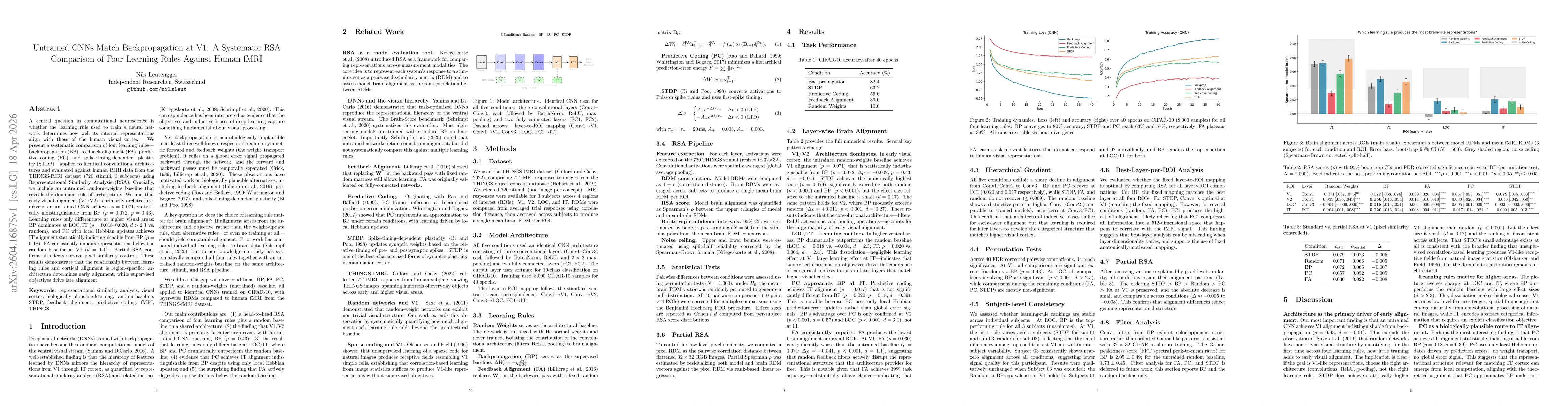 Thumbnail for Untrained CNNs Match Backpropagation at V1: A Systematic RSA Comparison of Four Learning Rules Against Human fMRI