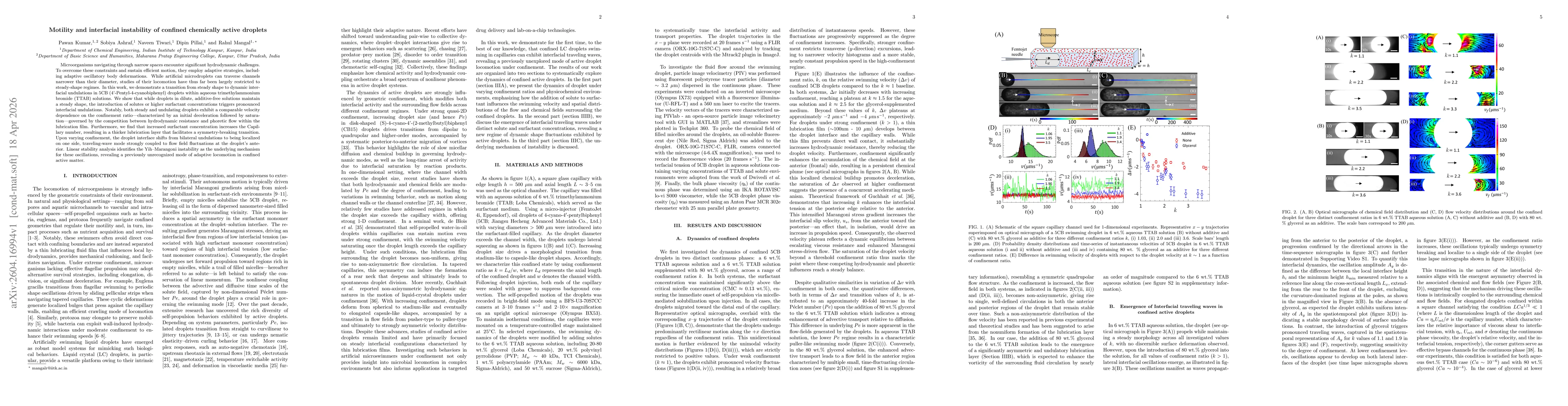 Thumbnail for Motility and interfacial instability of confined chemically active droplets