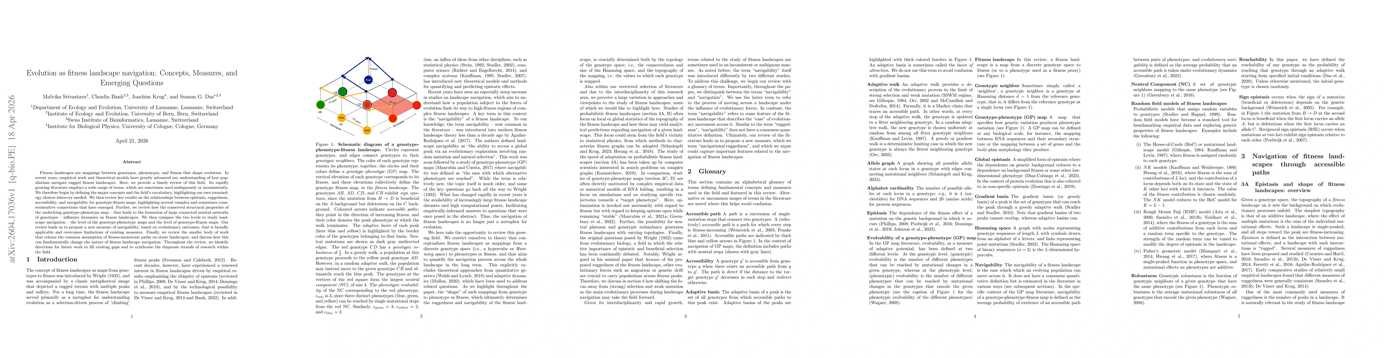 Thumbnail for Evolution as fitness landscape navigation: Concepts, Measures, and Emerging Questions