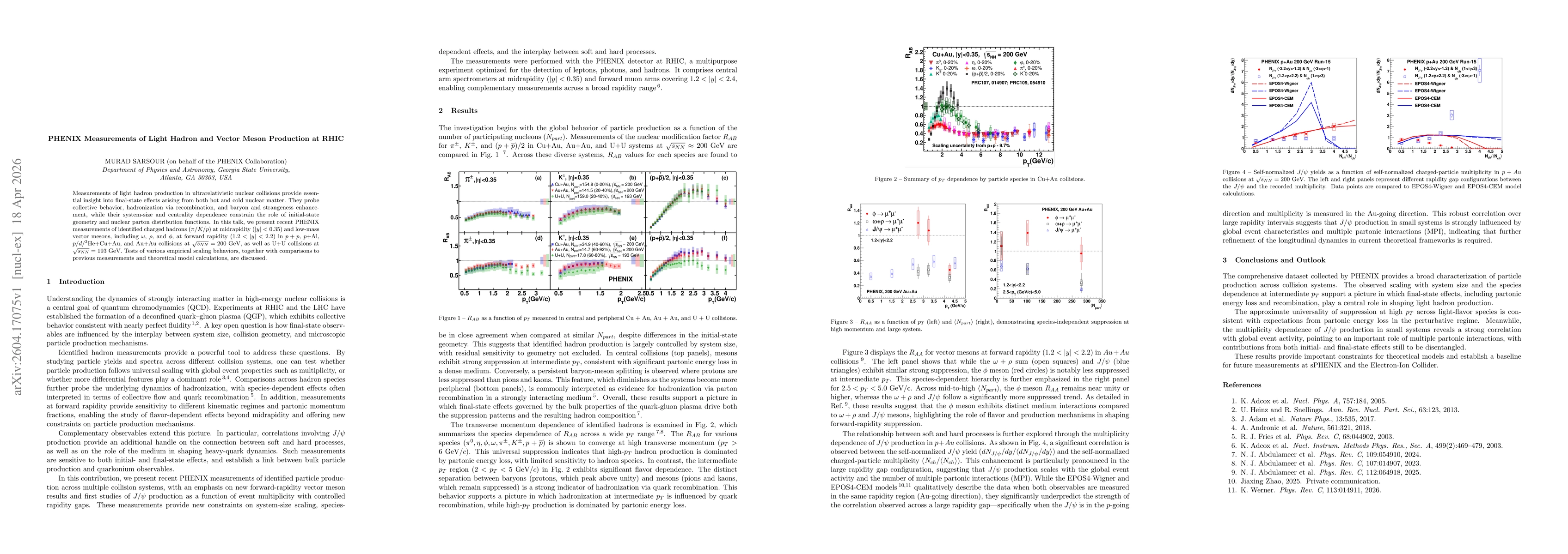 Thumbnail for PHENIX Measurements of Light Hadron and Vector Meson Production at RHIC
