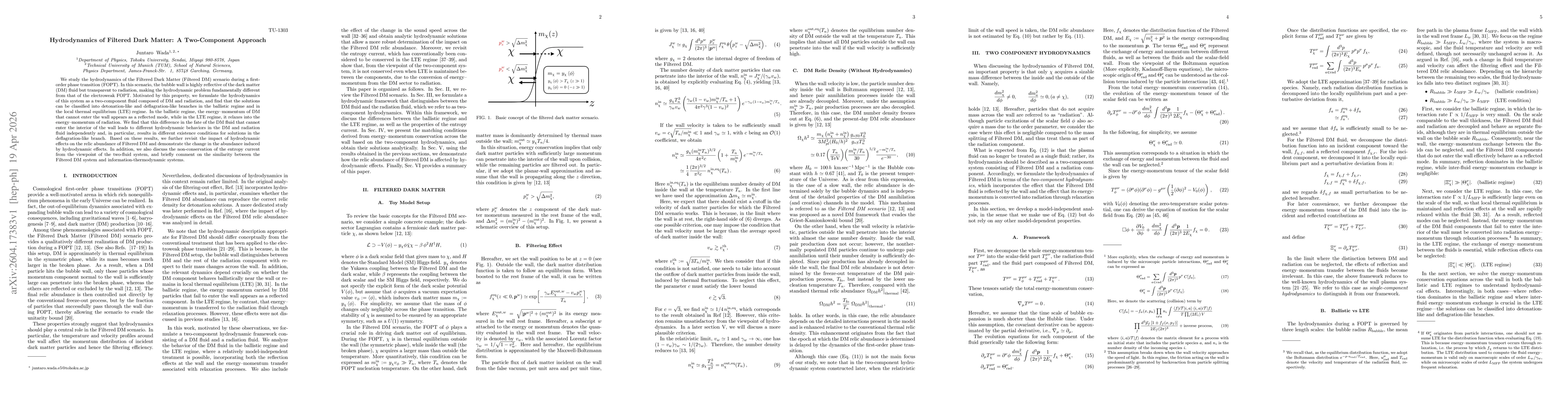 Thumbnail for Hydrodynamics of Filtered Dark Matter: A Two-Component Approach