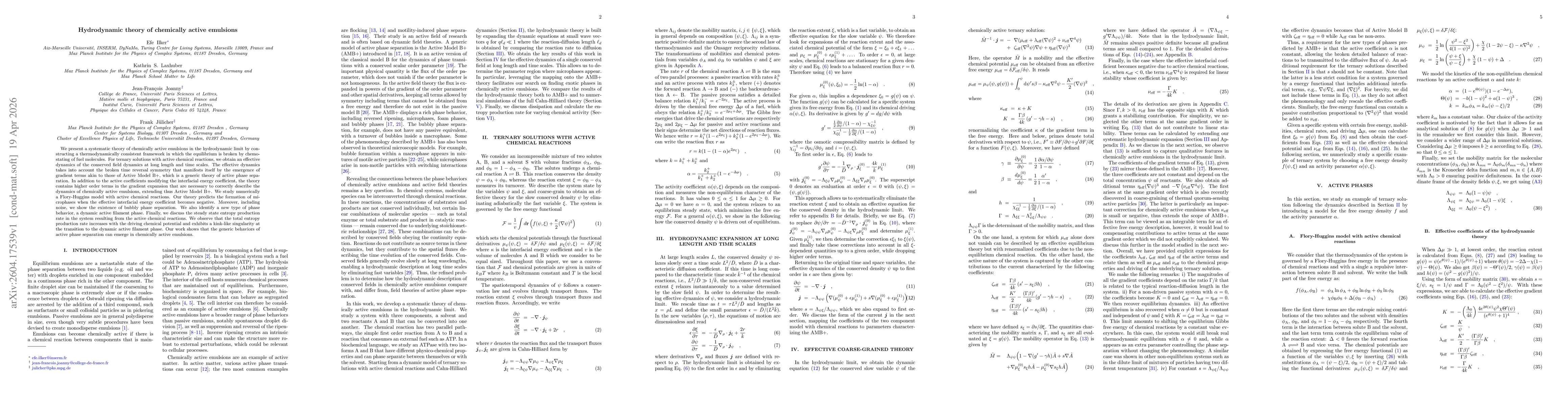 Thumbnail for Hydrodynamic theory of chemically active emulsions