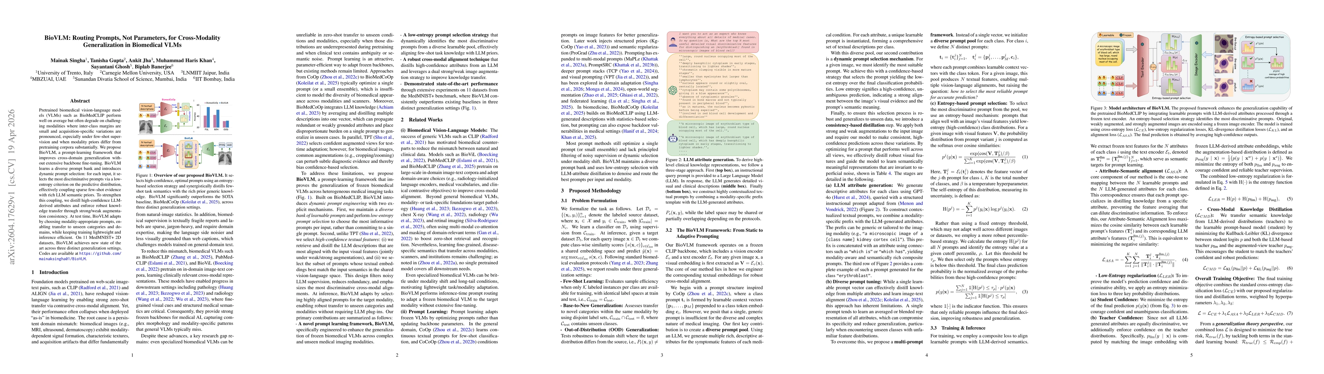 Thumbnail for BioVLM: Routing Prompts, Not Parameters, for Cross-Modality Generalization in Biomedical VLMs