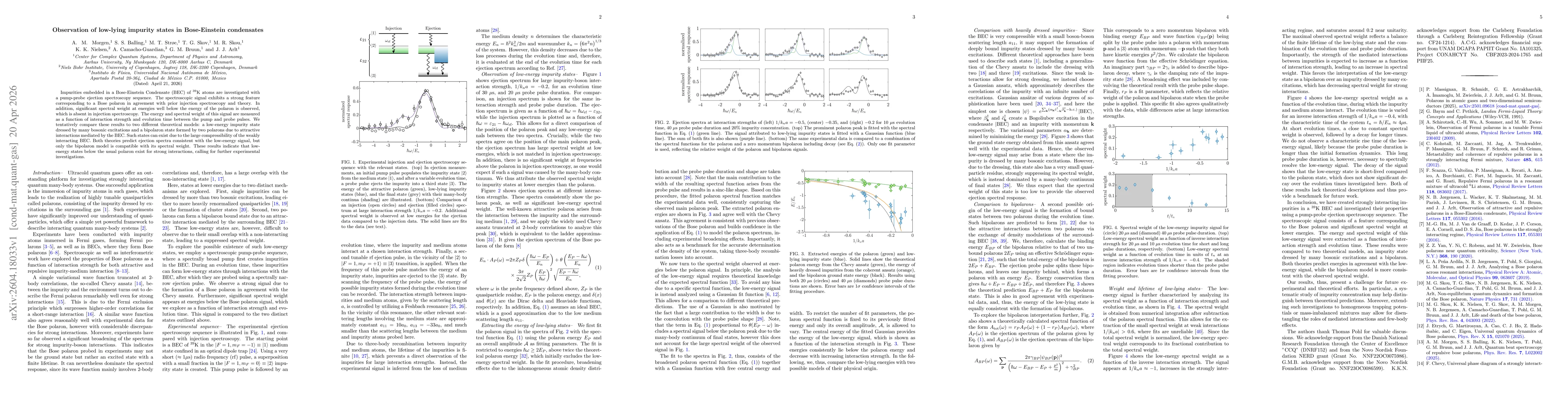 Thumbnail for Observation of low-lying impurity states in Bose-Einstein condensates