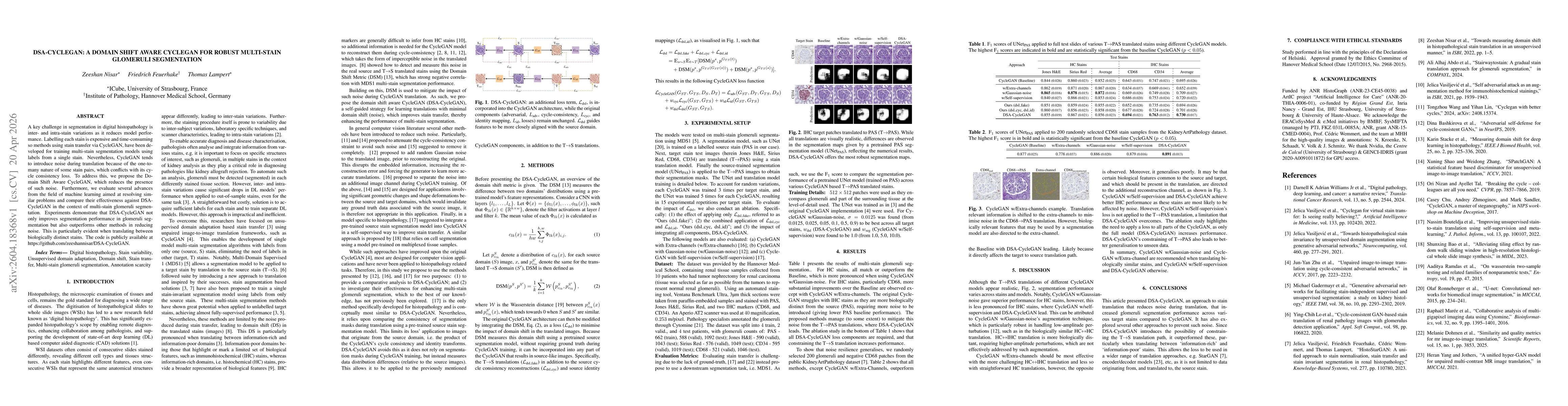 Thumbnail for DSA-CycleGAN: A Domain Shift Aware CycleGAN for Robust Multi-Stain Glomeruli Segmentation
