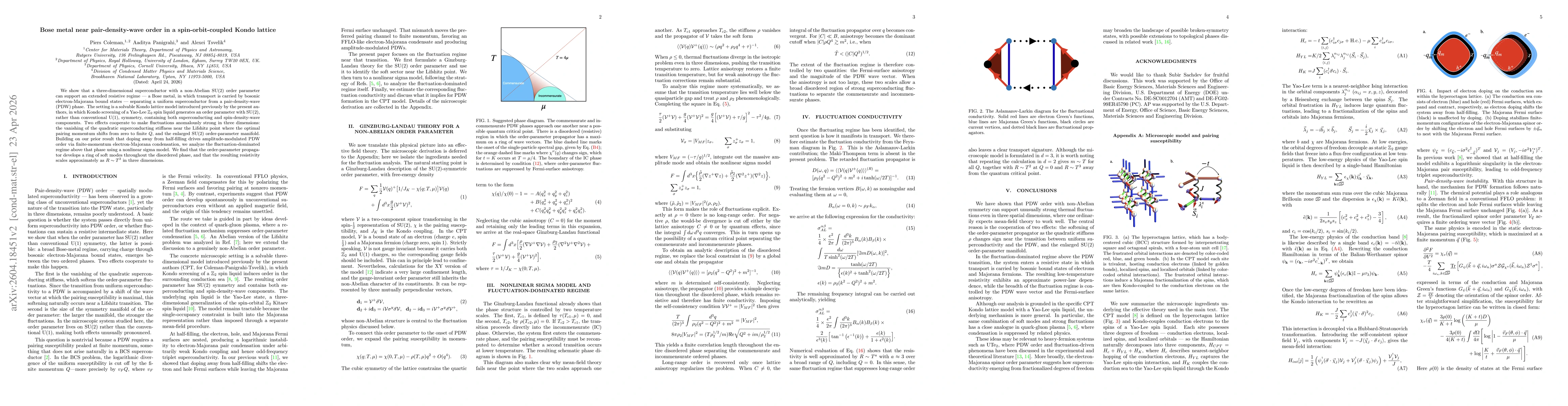 Thumbnail for Bose metal near pair-density-wave order in a spin-orbit-coupled Kondo lattice