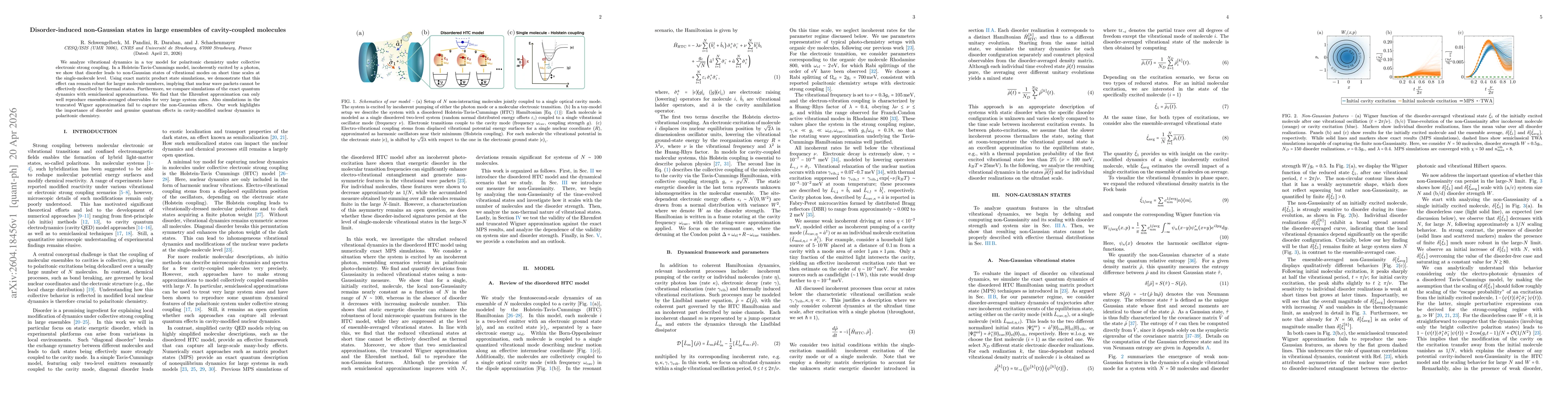 Thumbnail for Disorder-induced non-Gaussian states in large ensembles of cavity-coupled molecules