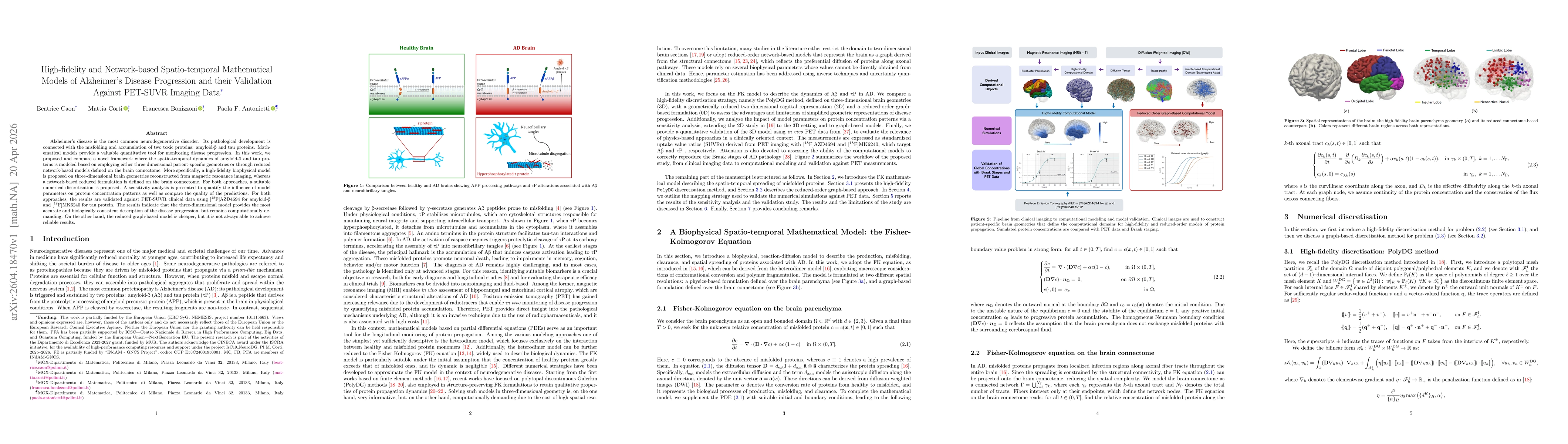 Thumbnail for High-fidelity and Network-based Spatio-temporal Mathematical Models of Alzheimer's Disease Progression and their Validation Against PET-SUVR Imaging Data