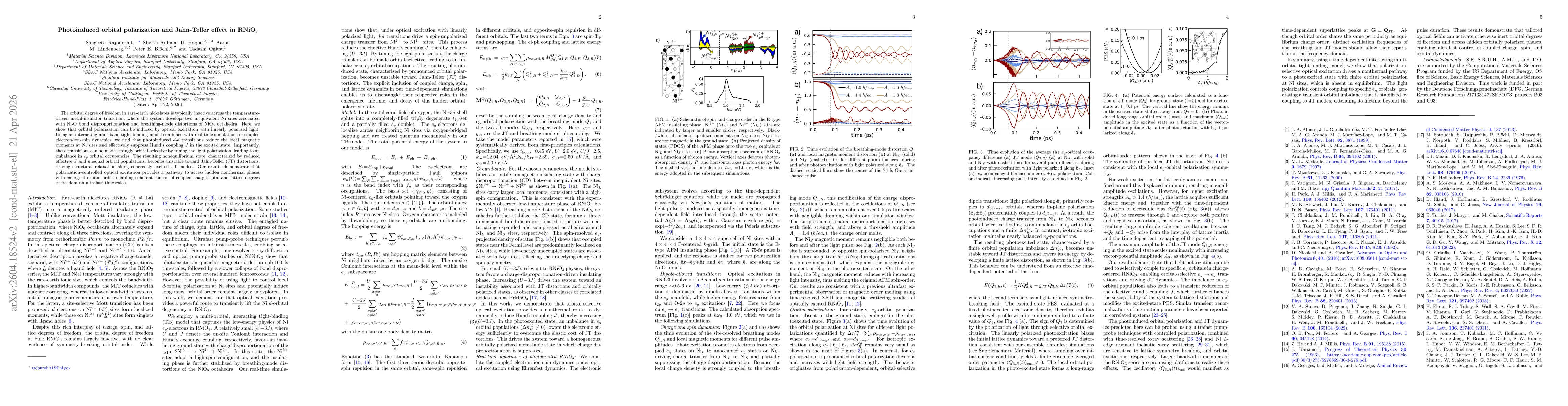 Thumbnail for Photoinduced orbital polarization and Jahn-Teller effect in RNiO$_3$