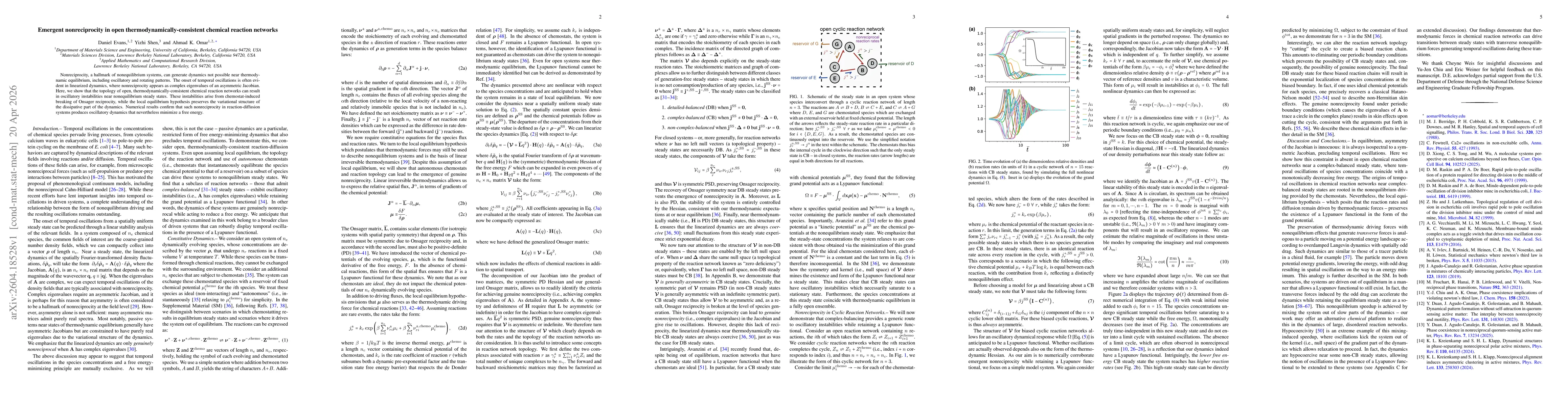 Thumbnail for Emergent nonreciprocity in open thermodynamically-consistent chemical reaction networks
