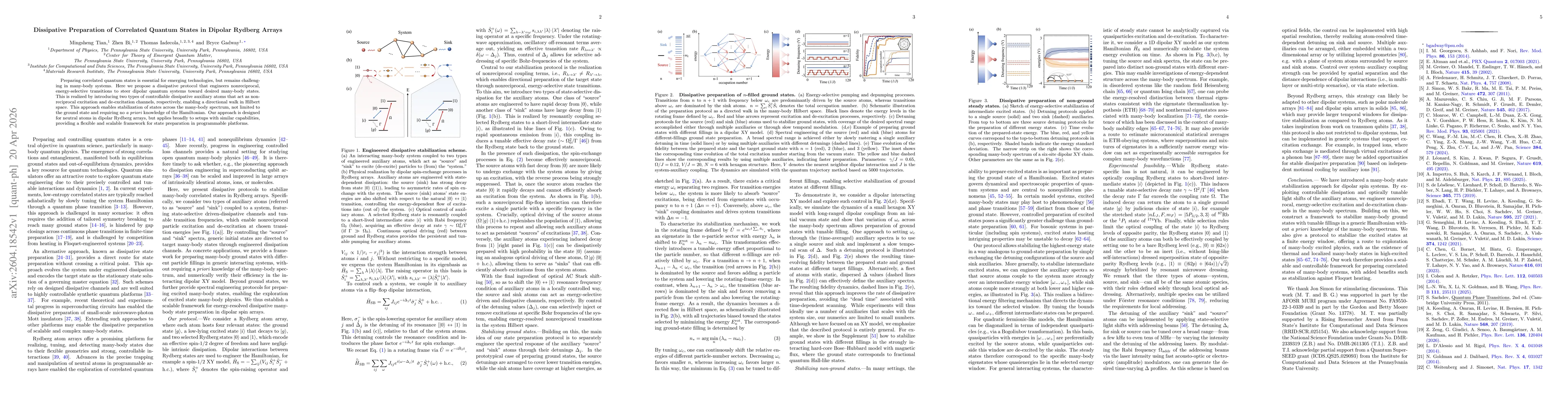 Thumbnail for Dissipative Preparation of Correlated Quantum States in Dipolar Rydberg Arrays