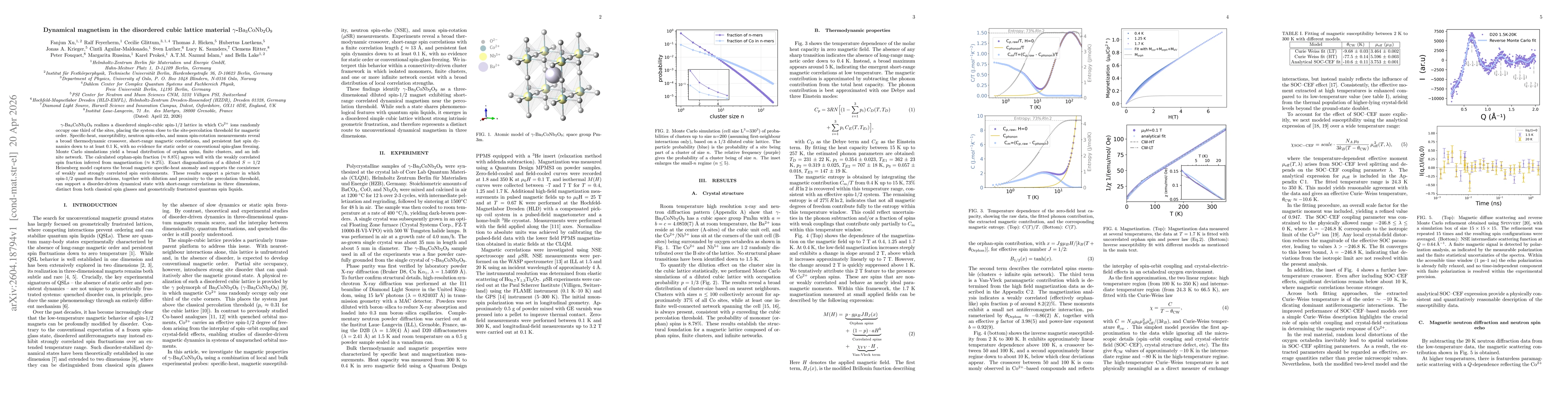 Thumbnail for Dynamical magnetism in the disordered cubic lattice material $γ$-${\rm Ba}_{3}{\rm CoNb}_{2}{\rm O}_{9}$