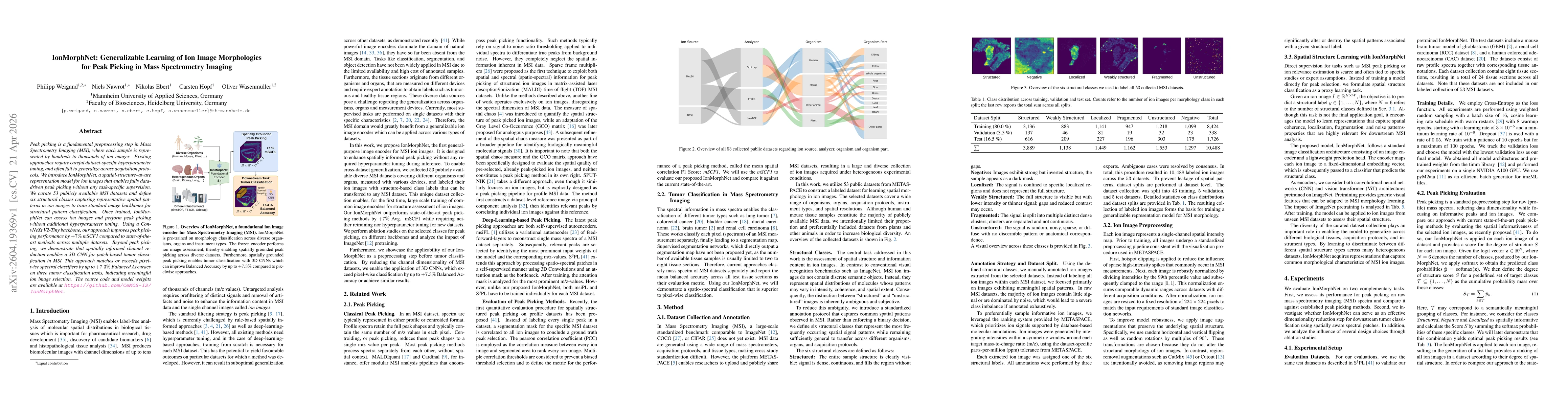 Thumbnail for IonMorphNet: Generalizable Learning of Ion Image Morphologies for Peak Picking in Mass Spectrometry Imaging