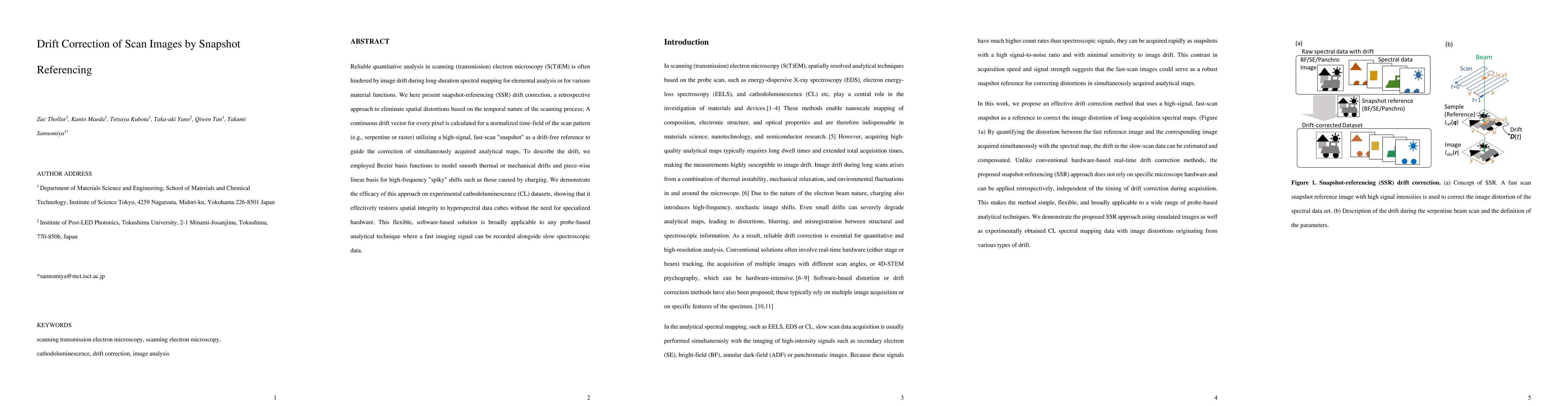 Thumbnail for Drift Correction of Scan Images by Snapshot Referencing