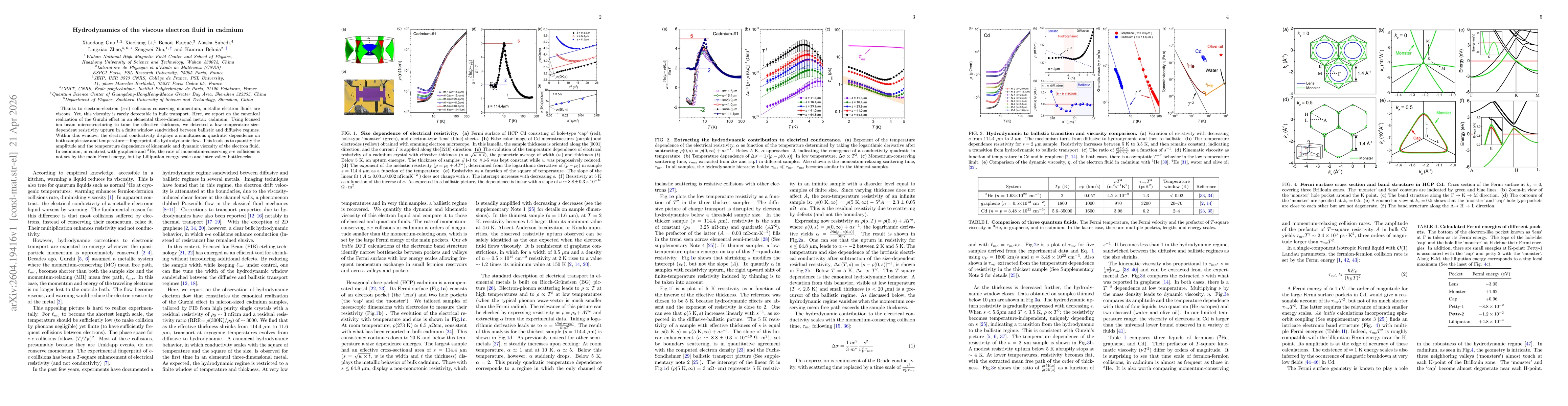 Thumbnail for Hydrodynamics of the viscous electron fluid in cadmium