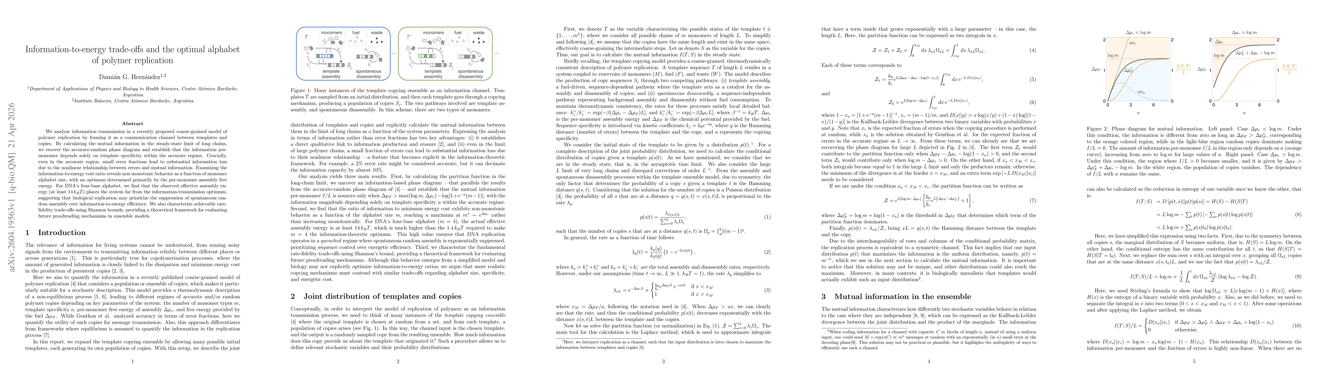 Thumbnail for Information-to-energy trade-offs and the optimal alphabet of polymer replication
