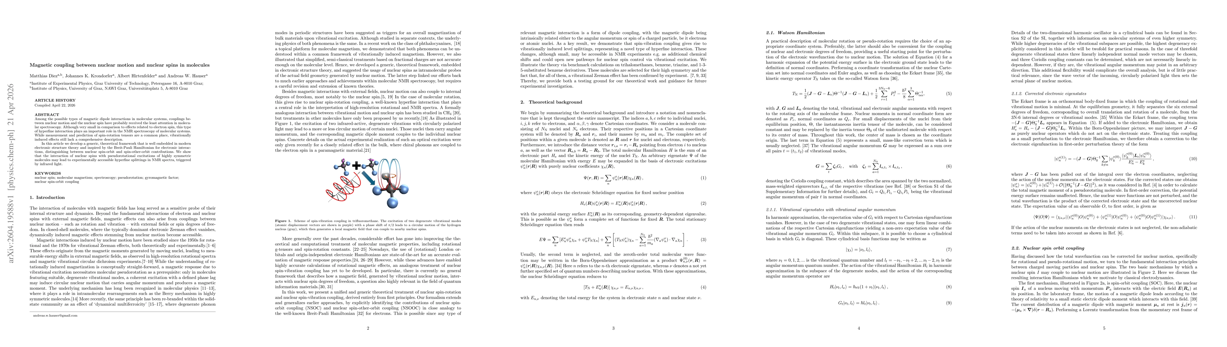 Thumbnail for Magnetic coupling between nuclear motion and nuclear spins in molecules