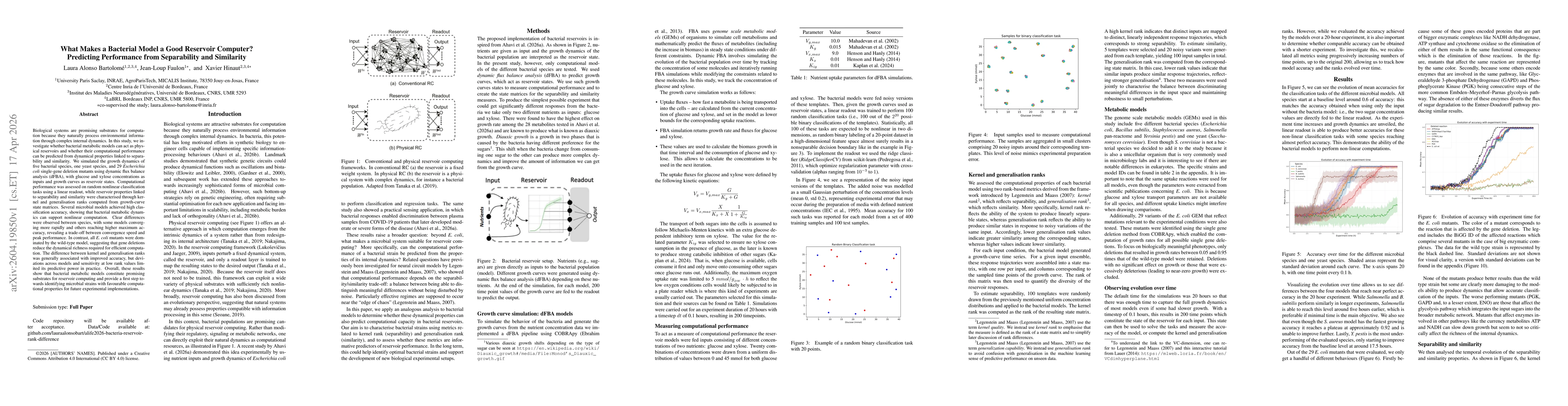 Thumbnail for What Makes a Bacterial Model a Good Reservoir Computer? Predicting Performance from Separability and Similarity
