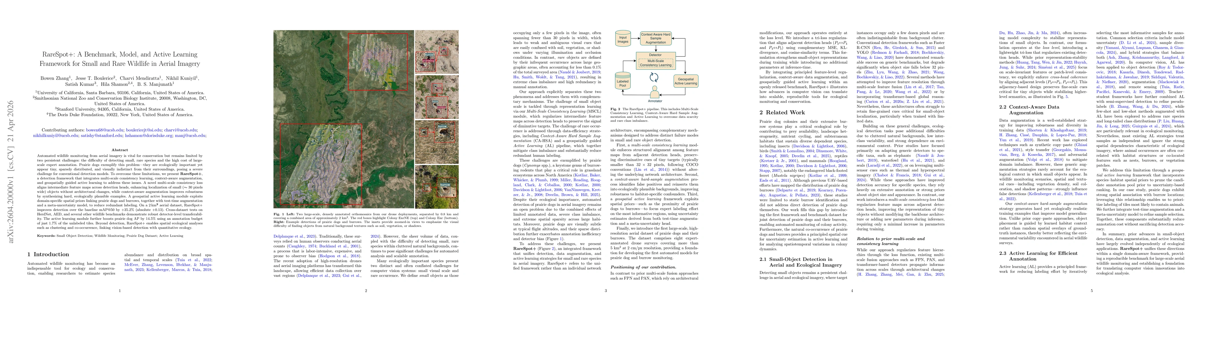 Thumbnail for RareSpot+: A Benchmark, Model, and Active Learning Framework for Small and Rare Wildlife in Aerial Imagery