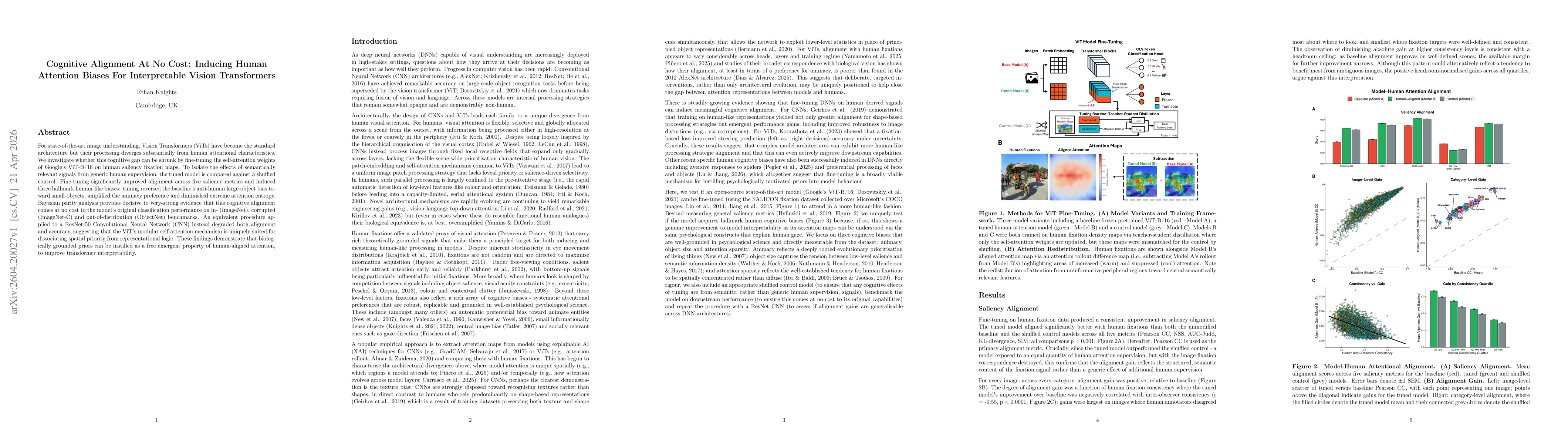 Thumbnail for Cognitive Alignment At No Cost: Inducing Human Attention Biases For Interpretable Vision Transformers