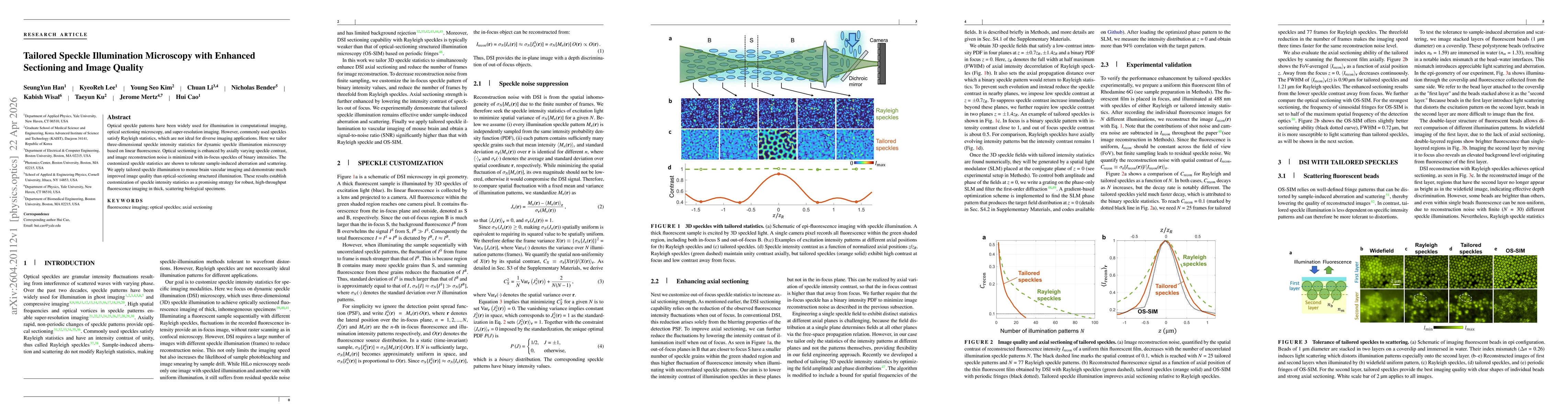 Thumbnail for Tailored Speckle Illumination Microscopy with Enhanced Sectioning and Image Quality