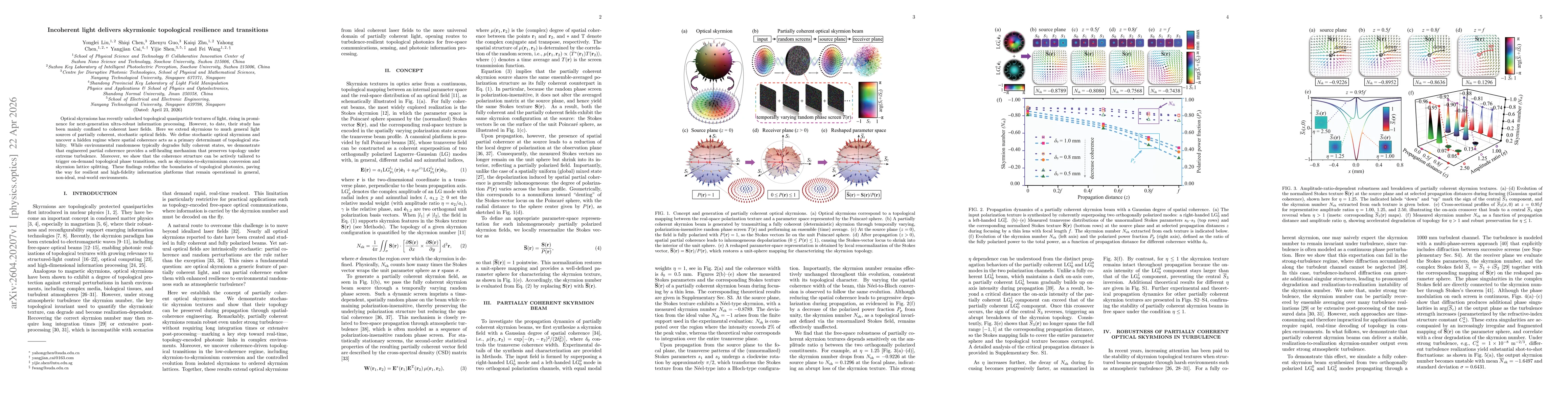 Thumbnail for Incoherent light delivers skyrmionic topological resilience and transitions