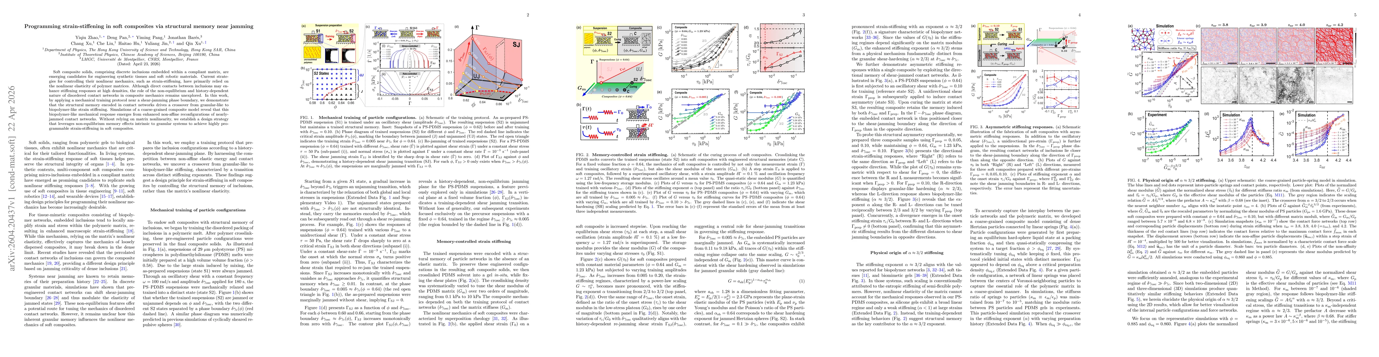 Thumbnail for Programming strain-stiffening in soft composites via structural memory near jamming