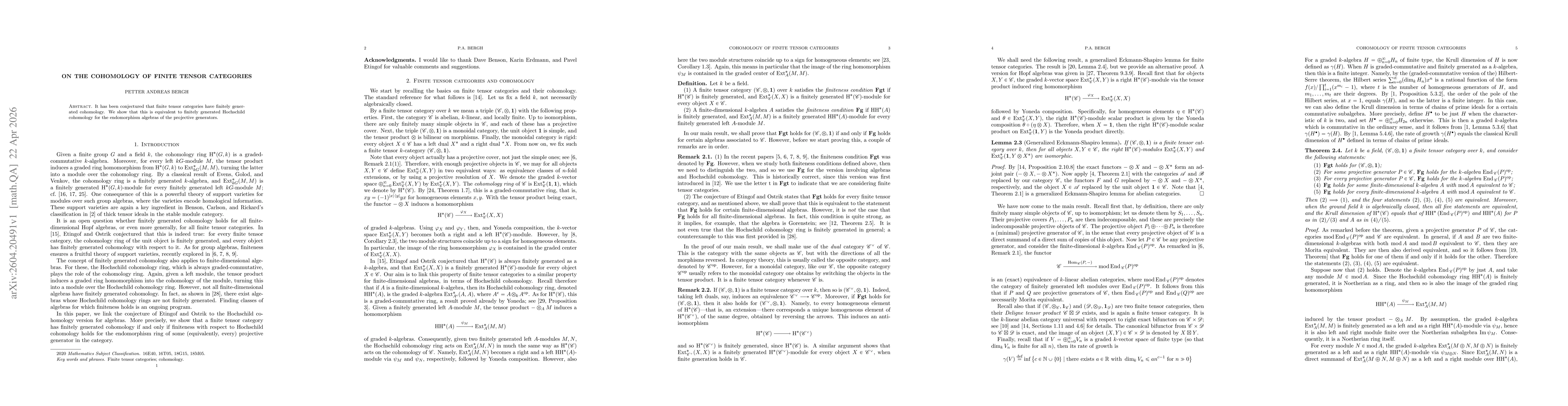 Thumbnail for On the cohomology of finite tensor categories