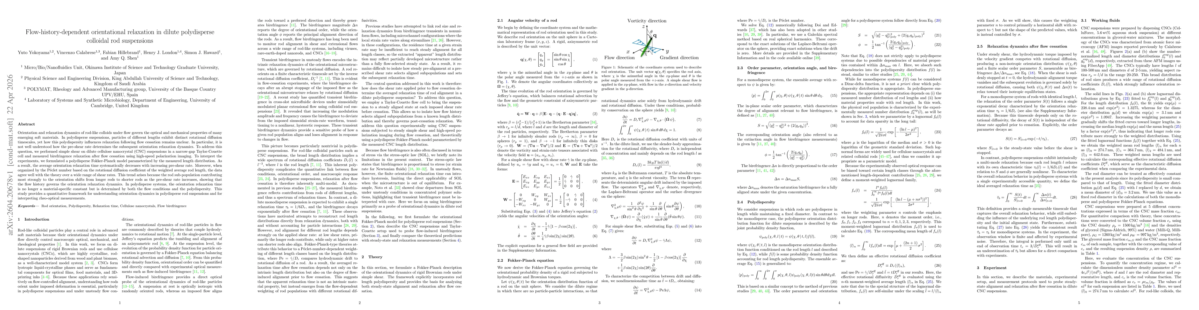 Thumbnail for Flow-history-dependent orientational relaxation in dilute polydisperse colloidal rod suspensions