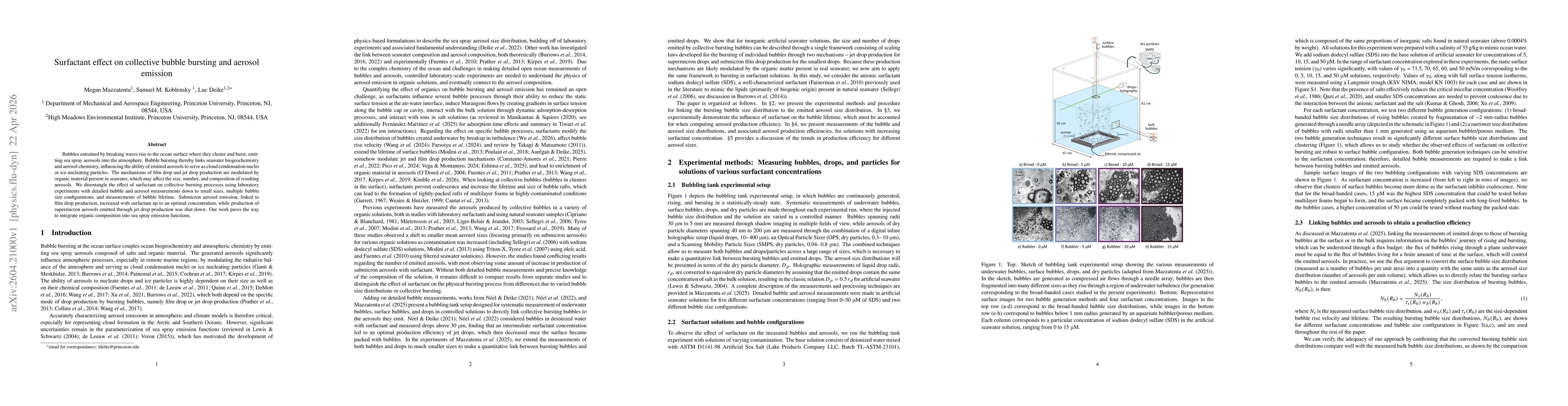 Thumbnail for Surfactant effect on collective bubble bursting and aerosol emission