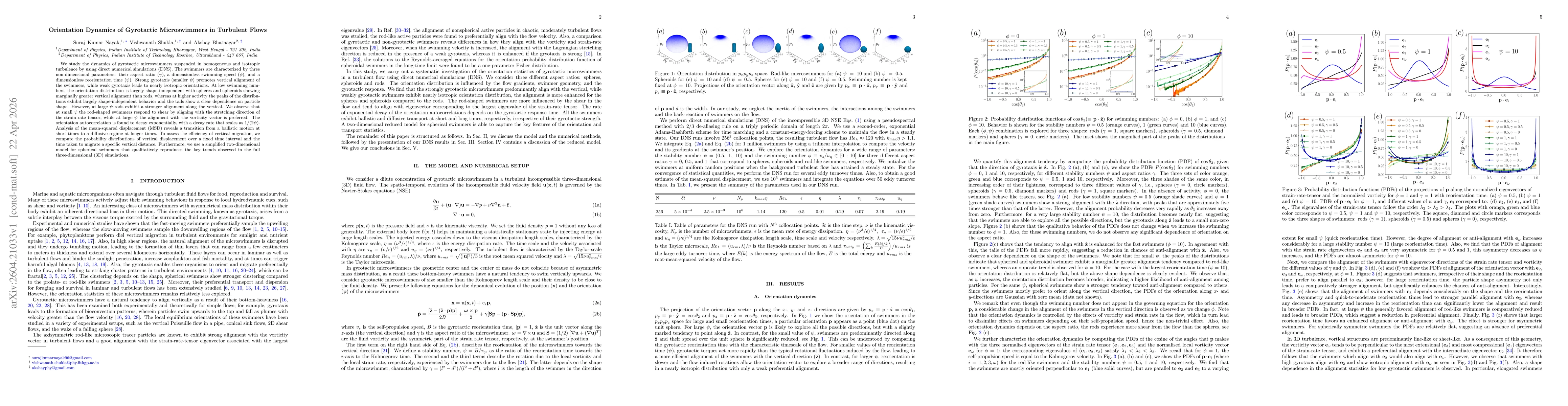 Thumbnail for Orientation Dynamics of Gyrotactic Microswimmers in Turbulent Flows
