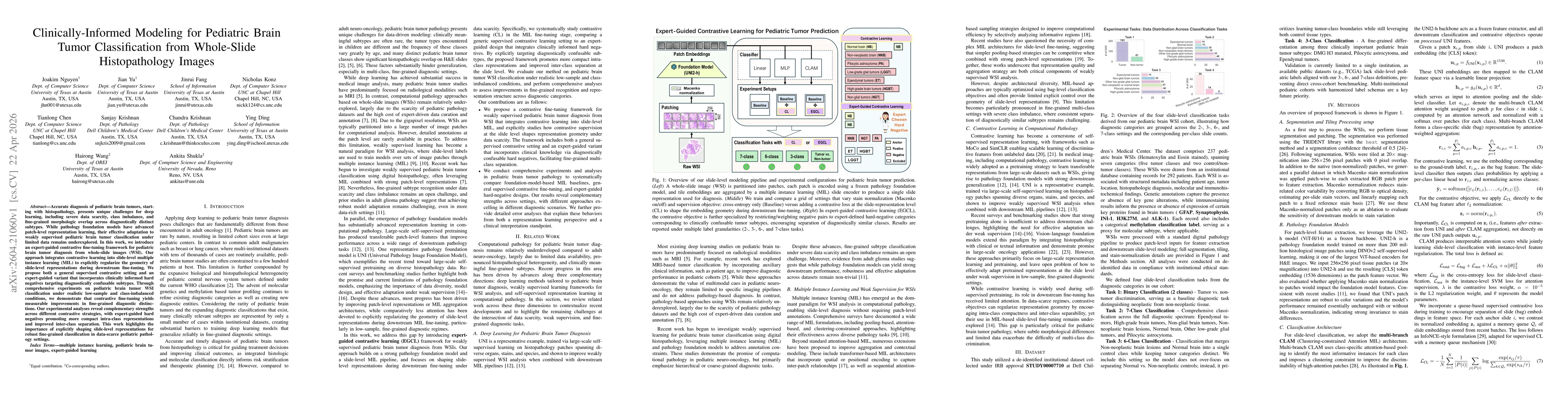 Thumbnail for Clinically-Informed Modeling for Pediatric Brain Tumor Classification from Whole-Slide Histopathology Images
