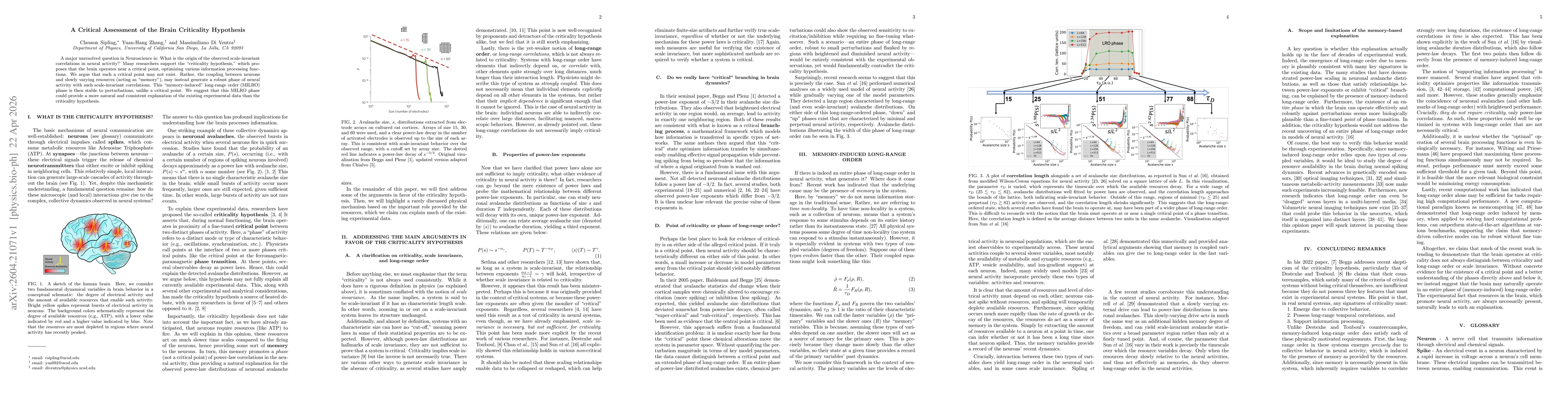 Thumbnail for A Critical Assessment of the Brain Criticality Hypothesis
