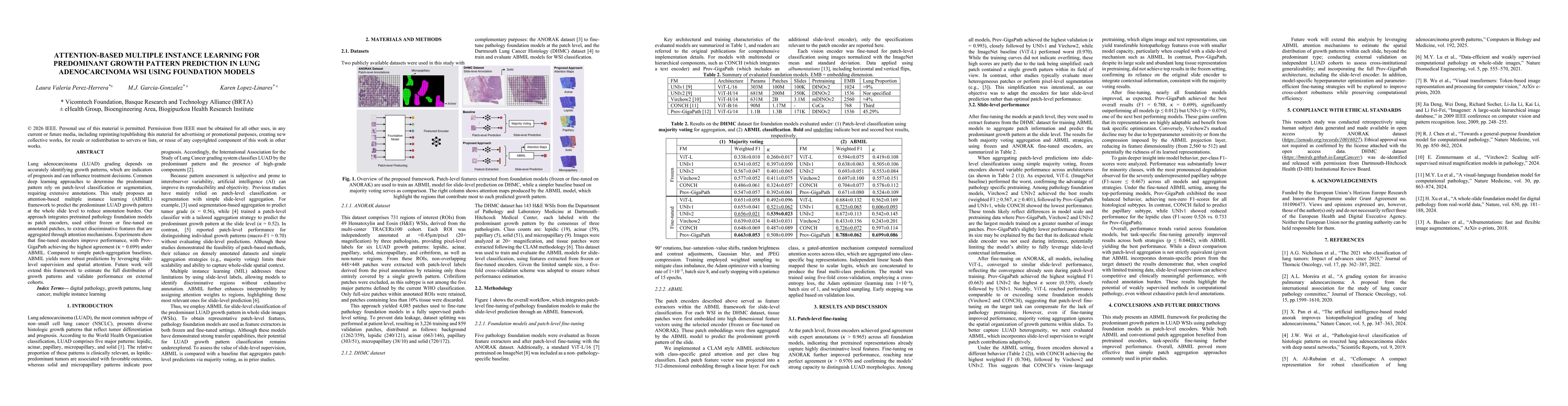 Thumbnail for Attention-based multiple instance learning for predominant growth pattern prediction in lung adenocarcinoma wsi using foundation models