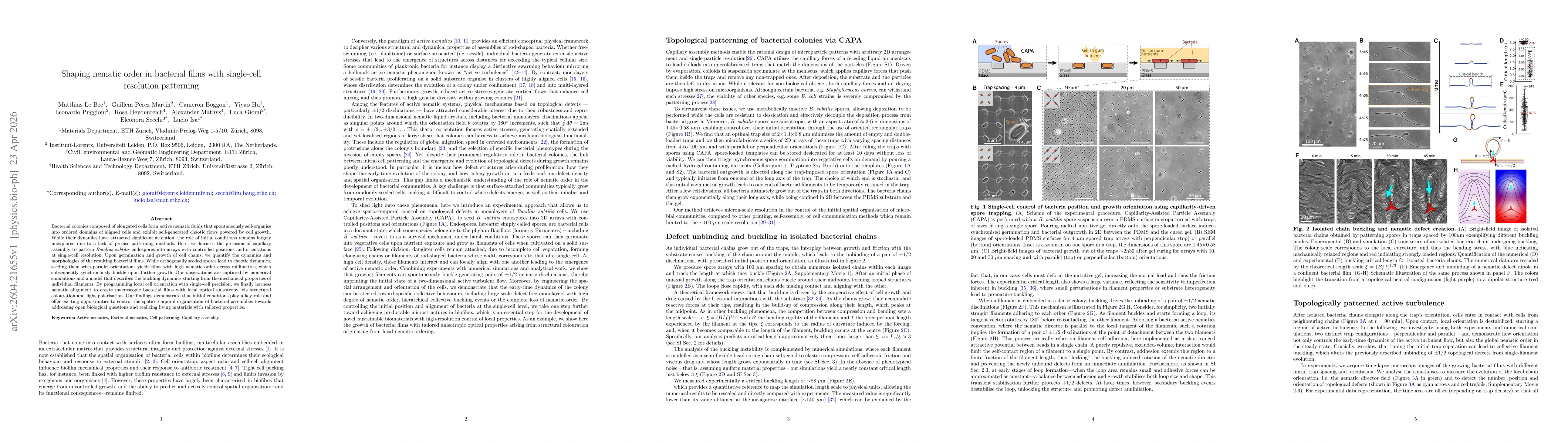 Thumbnail for Shaping nematic order in bacterial films with single-cell resolution patterning
