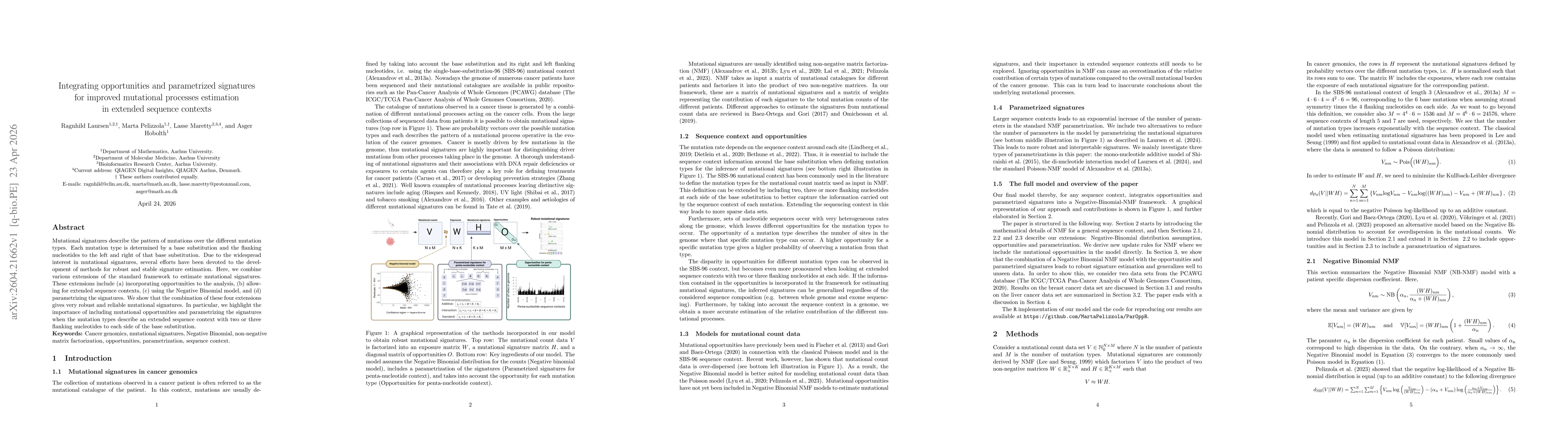 Thumbnail for Integrating opportunities and parametrized signatures for improved mutational processes estimation in extended sequence contexts