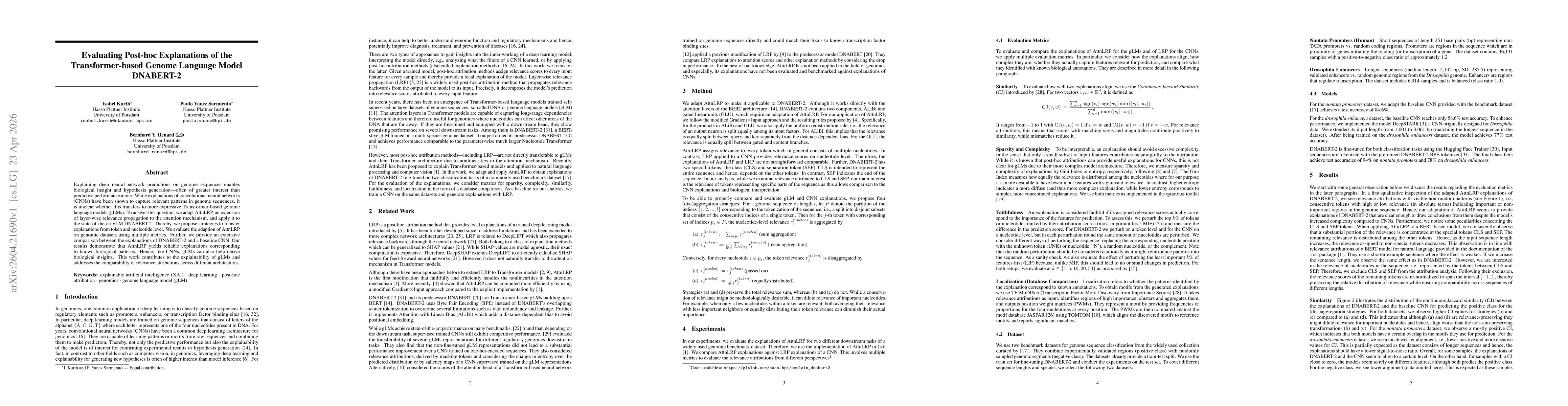 Thumbnail for Evaluating Post-hoc Explanations of the Transformer-based Genome Language Model DNABERT-2