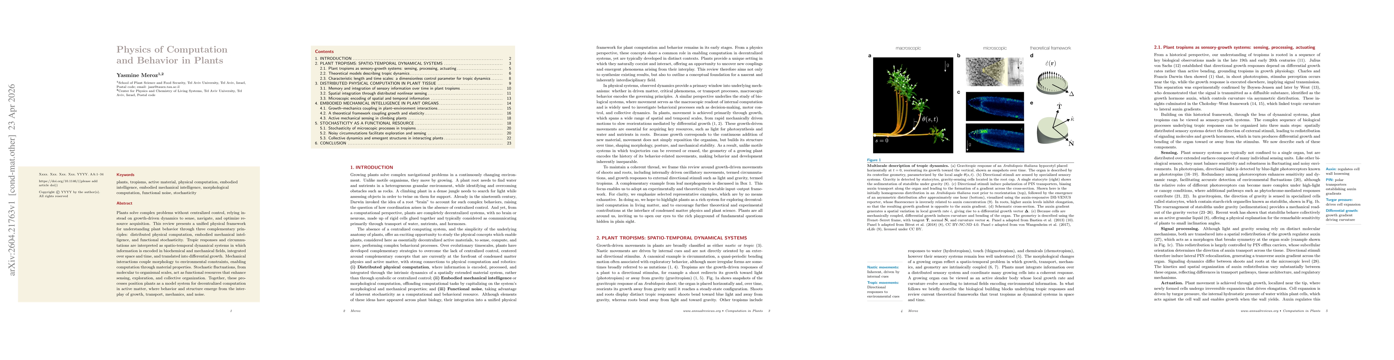 Thumbnail for Physics of Computation and Behavior in Plants