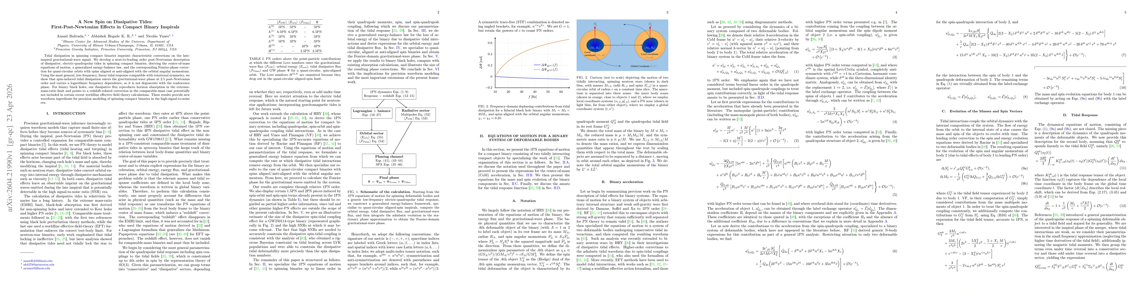 Thumbnail for A New Spin on Dissipative Tides: First-Post-Newtonian Effects in Compact Binary Inspirals