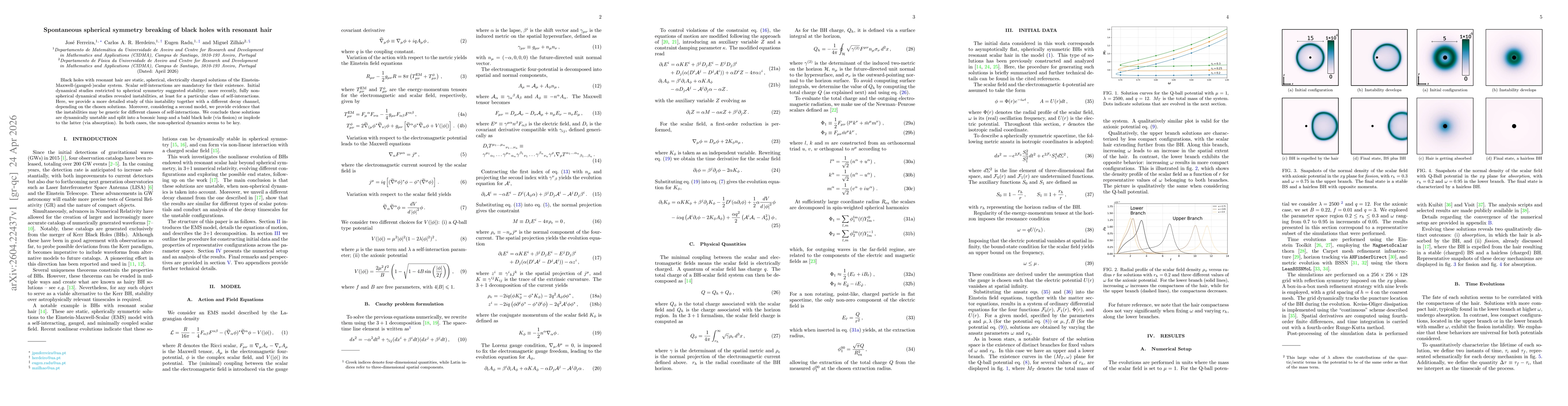 Thumbnail for Spontaneous spherical symmetry breaking of black holes with resonant hair