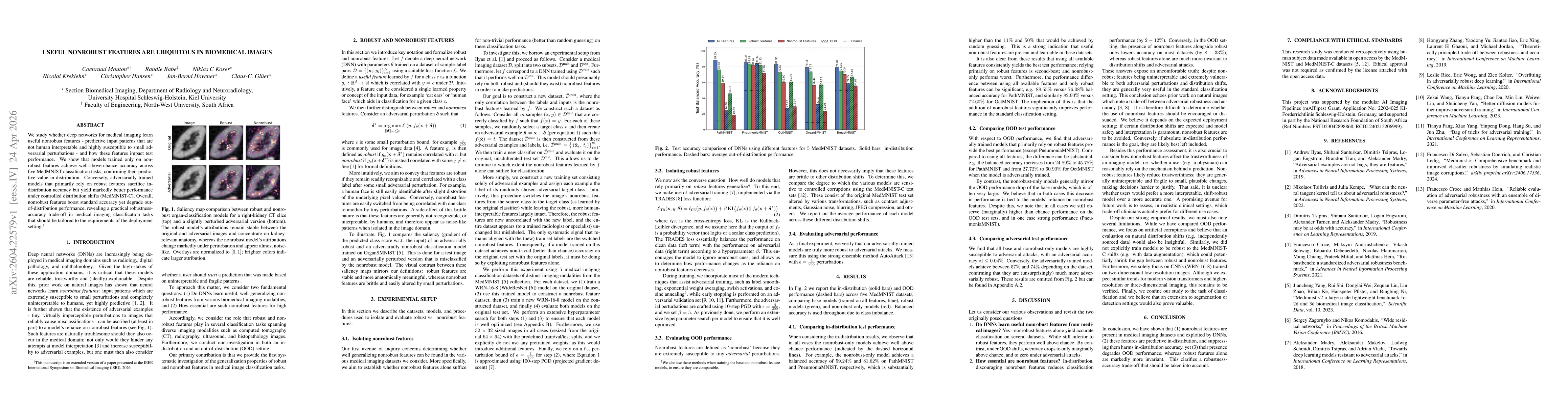 Thumbnail for Useful nonrobust features are ubiquitous in biomedical images