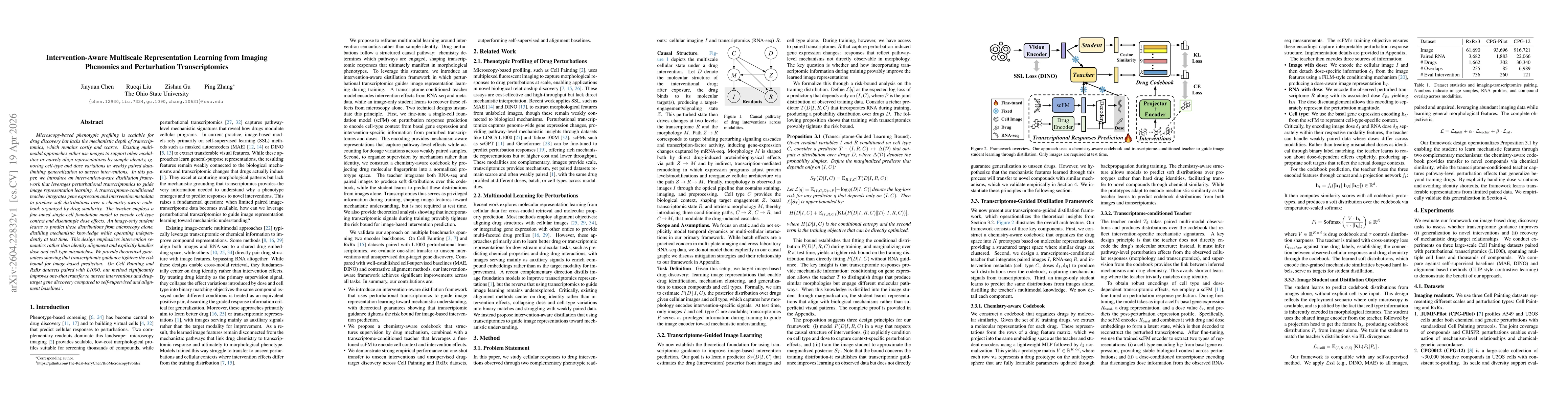 Thumbnail for Intervention-Aware Multiscale Representation Learning from Imaging Phenomics and Perturbation Transcriptomics