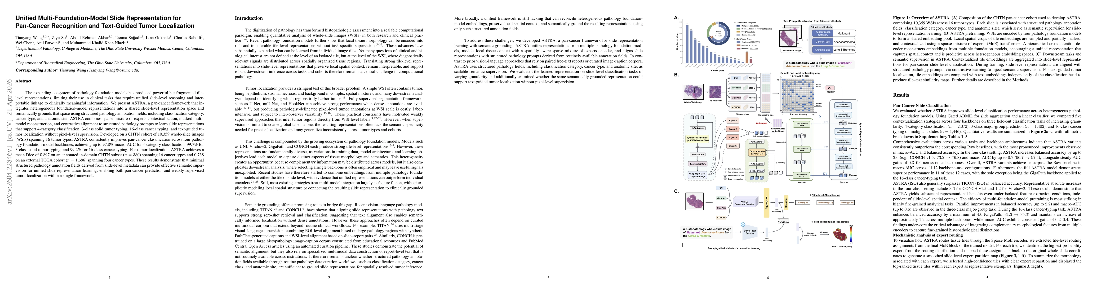 Thumbnail for Unified Multi-Foundation-Model Slide Representation for Pan-Cancer Recognition and Text-Guided Tumor Localization