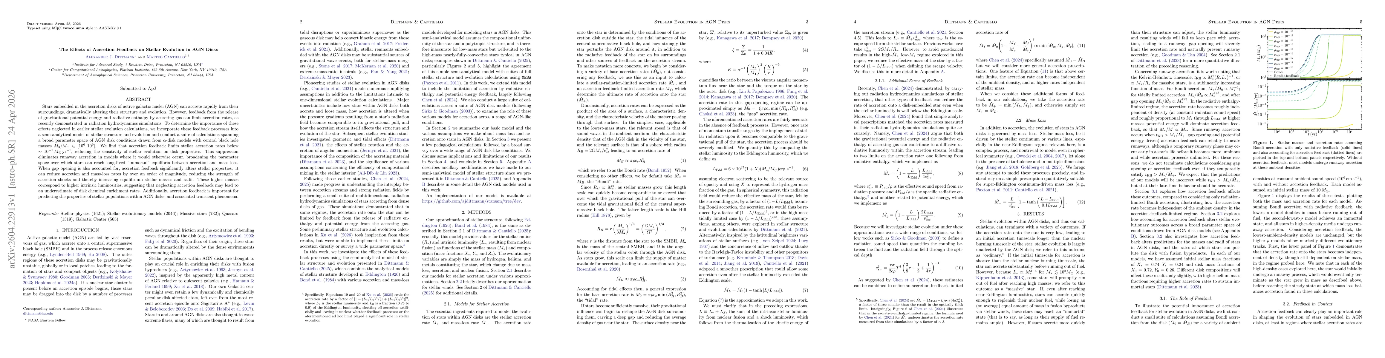 Thumbnail for The Effects of Accretion Feedback on Stellar Evolution in AGN Disks