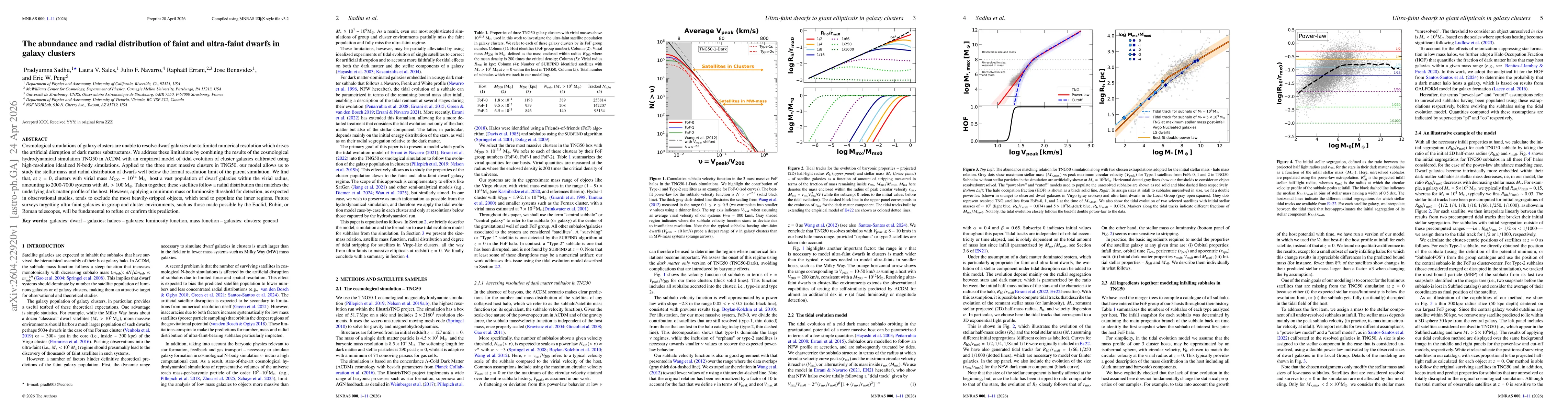 Thumbnail for The abundance and radial distribution of faint and ultra-faint dwarfs in galaxy clusters