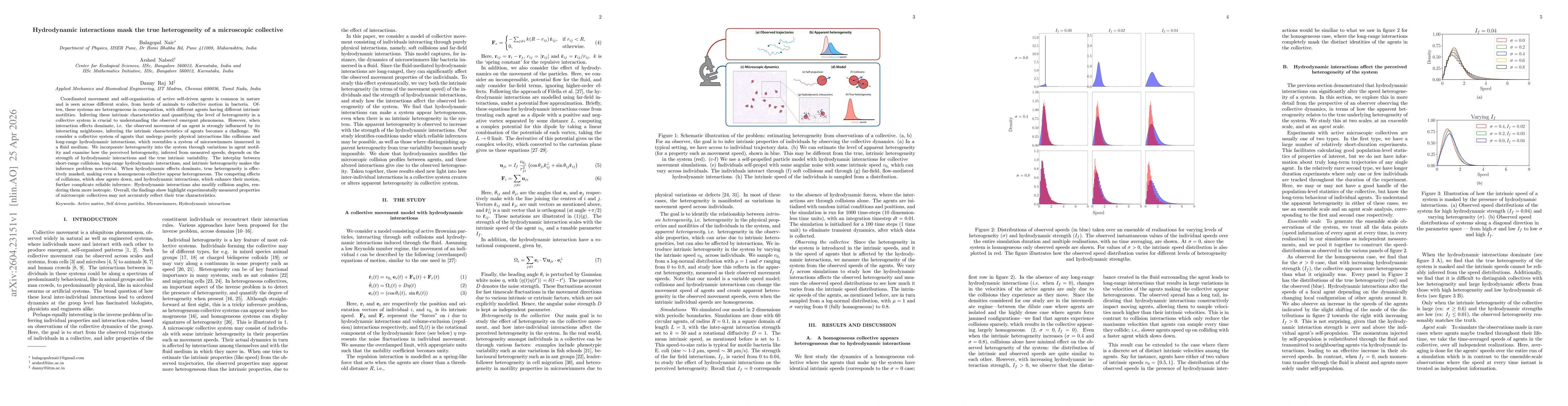 Thumbnail for Hydrodynamic interactions mask the true heterogeneity of a microscopic collective