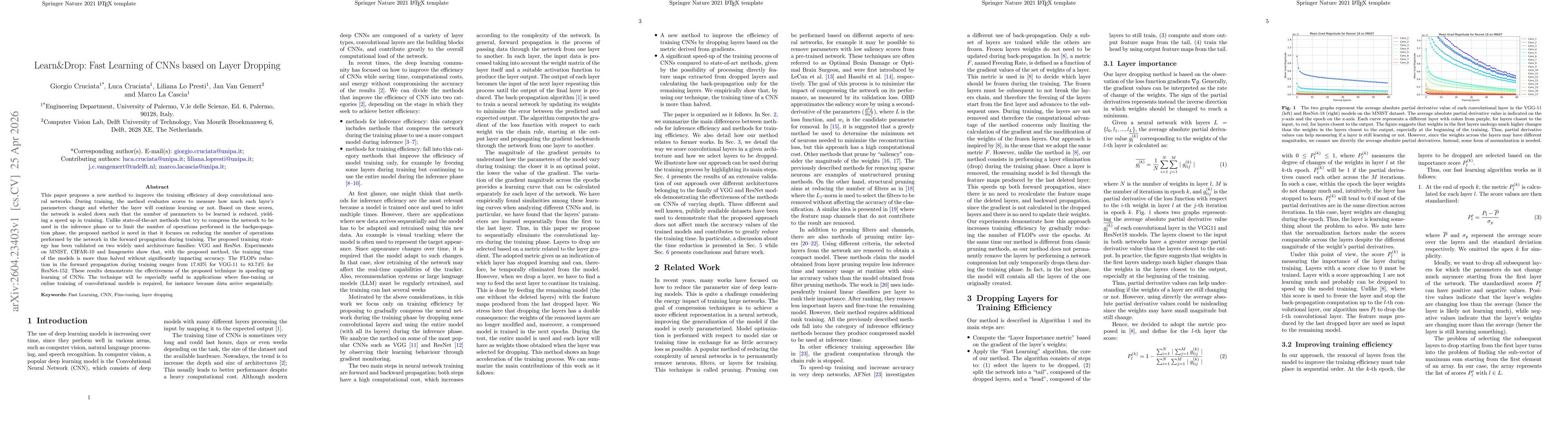 Thumbnail for Learn&Drop: Fast Learning of CNNs based on Layer Dropping